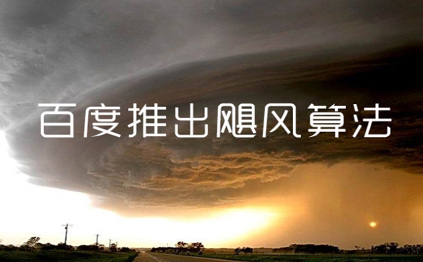 面對颶風算法，站長應該如何面對？